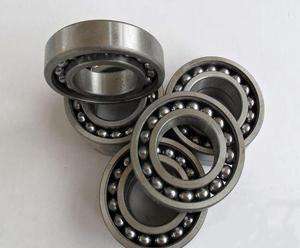 Latest design 306TN Bearing